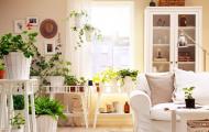 Уход и выращивание комнатных растений в домашних условиях